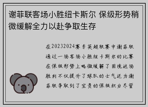 谢菲联客场小胜纽卡斯尔 保级形势稍微缓解全力以赴争取生存