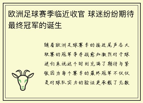 欧洲足球赛季临近收官 球迷纷纷期待最终冠军的诞生